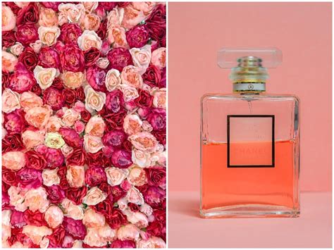 Profumi alla rosa: i migliori tra grandi classici e novità da non 